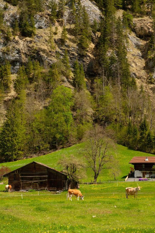 Hafod A Hendre Apartment Lauterbrunnen Luaran gambar
